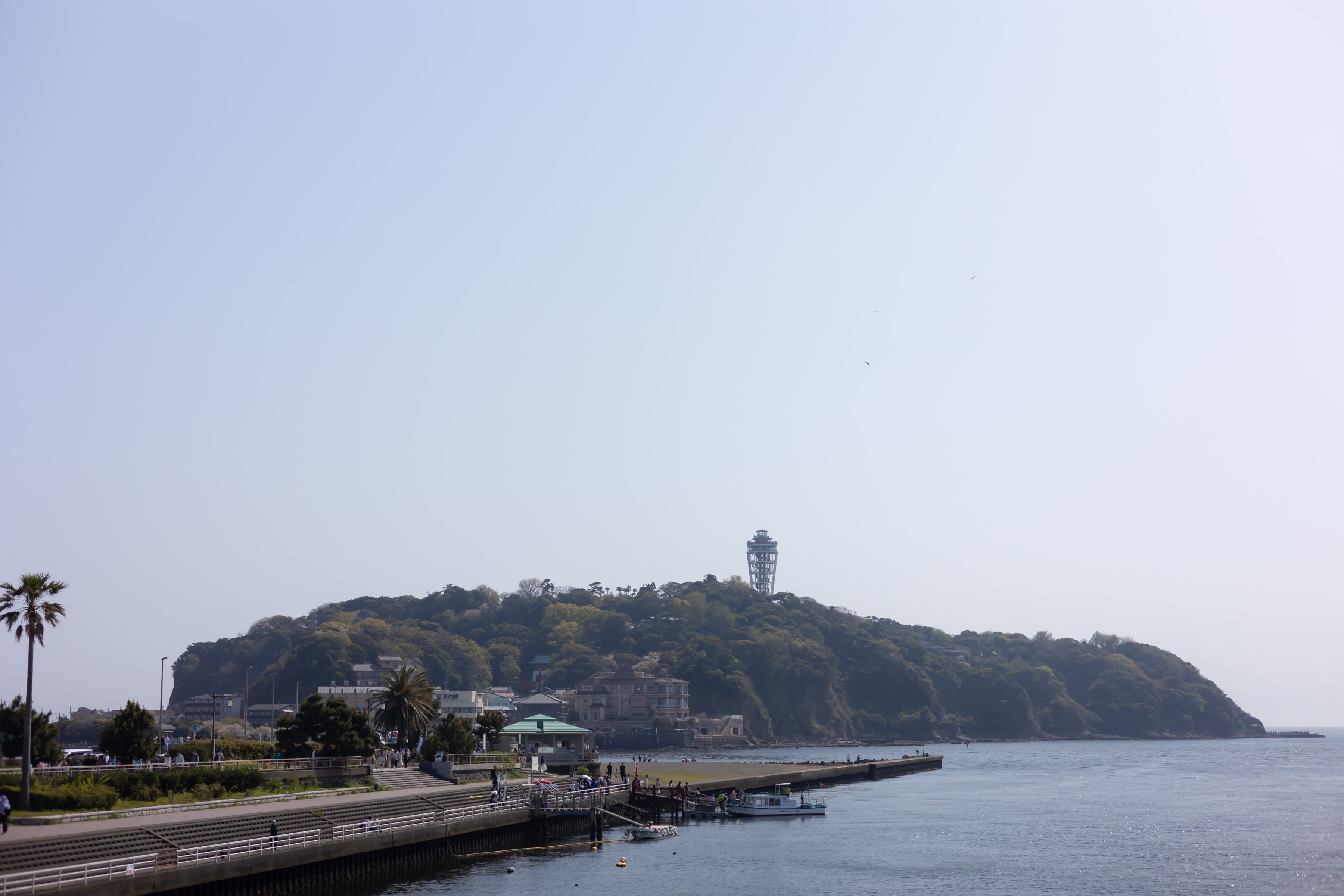 江島神社で挙式